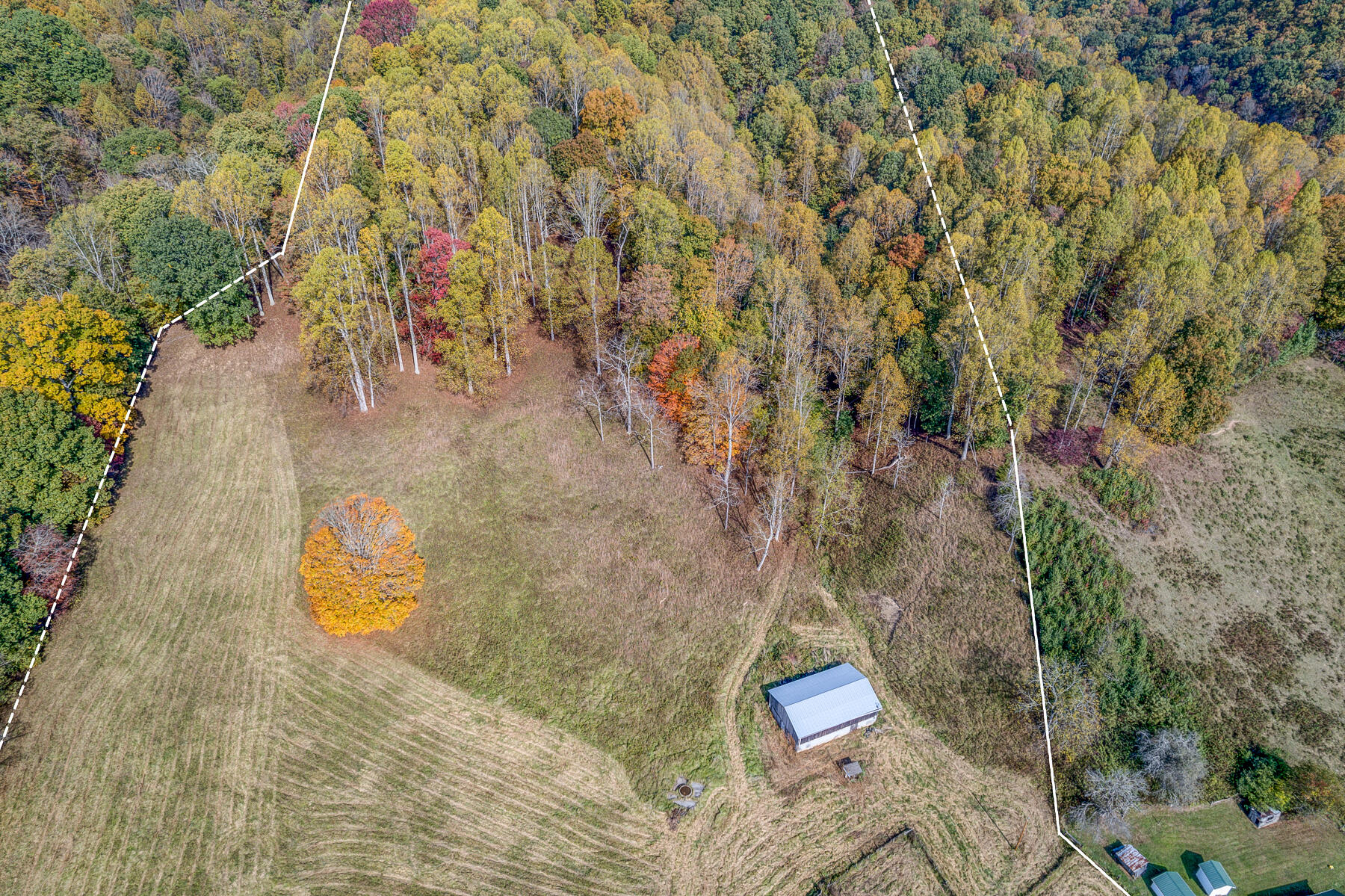 16517 Rich Valley Road Abingdon, VA 24210 - Photo 50 of 52 BORDER 2