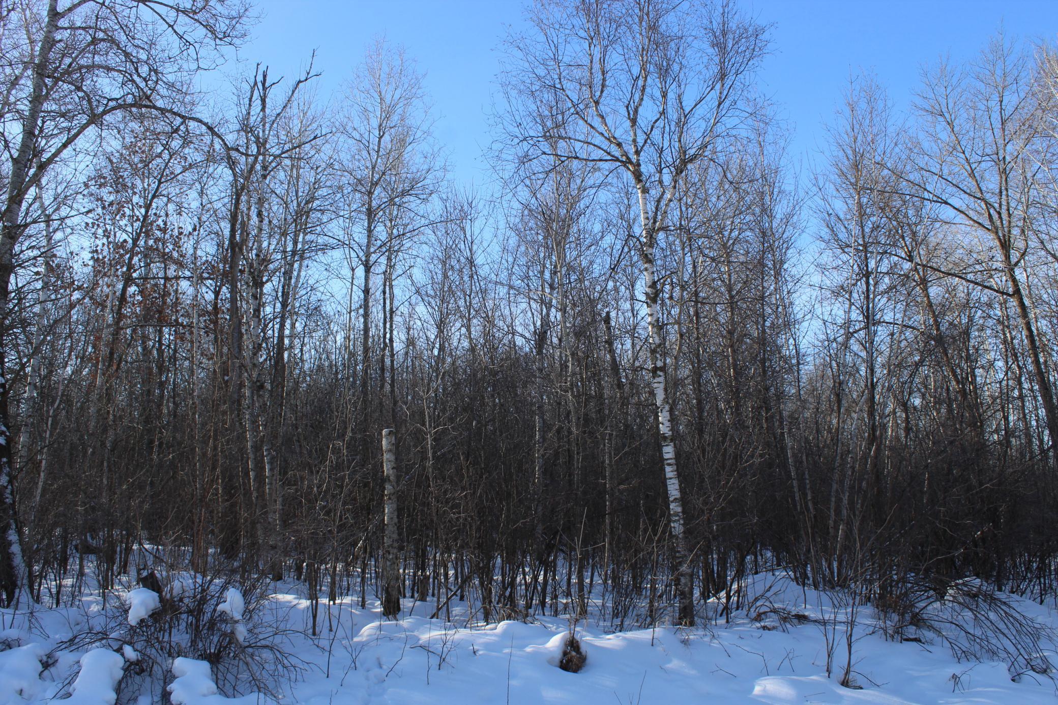 9-xxx 200th Street Milaca, MN 56353 - Photo 2 of 6