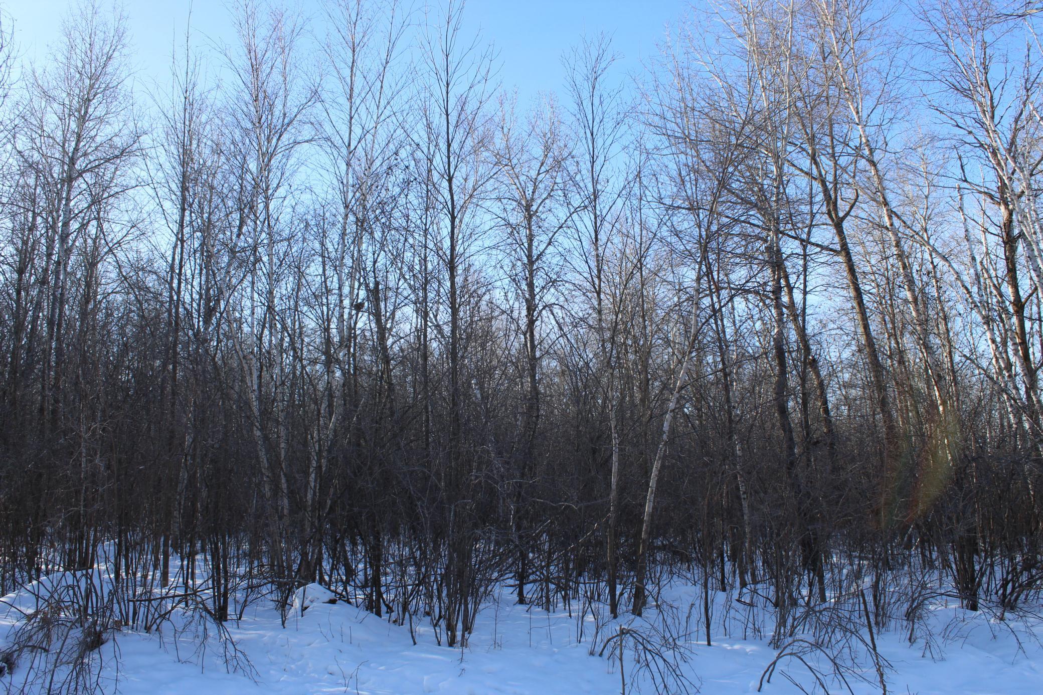 9-xxx 200th Street Milaca, MN 56353 - Photo 3 of 6