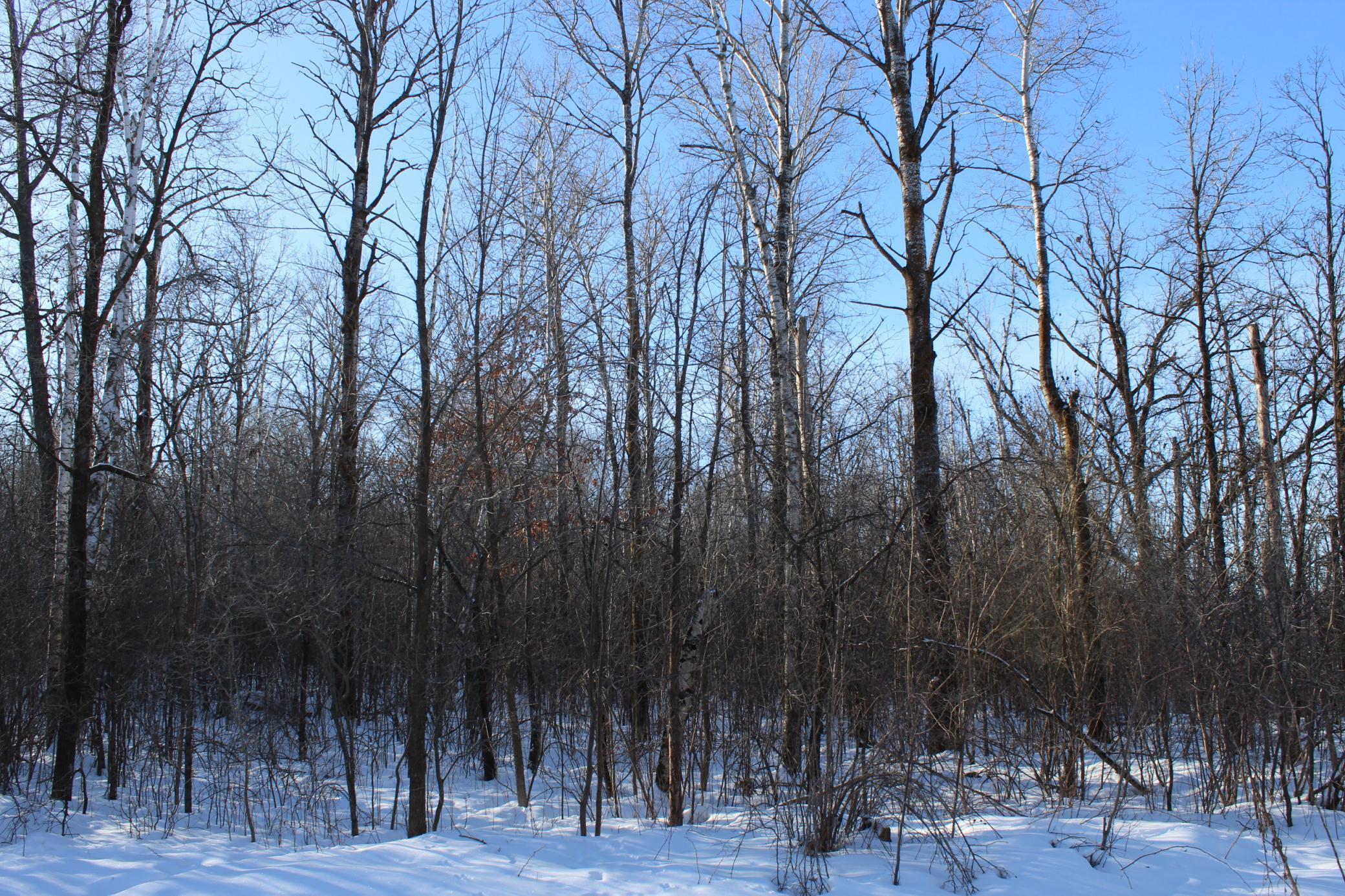 9-xxx 200th Street Milaca, MN 56353 - Photo 5 of 6