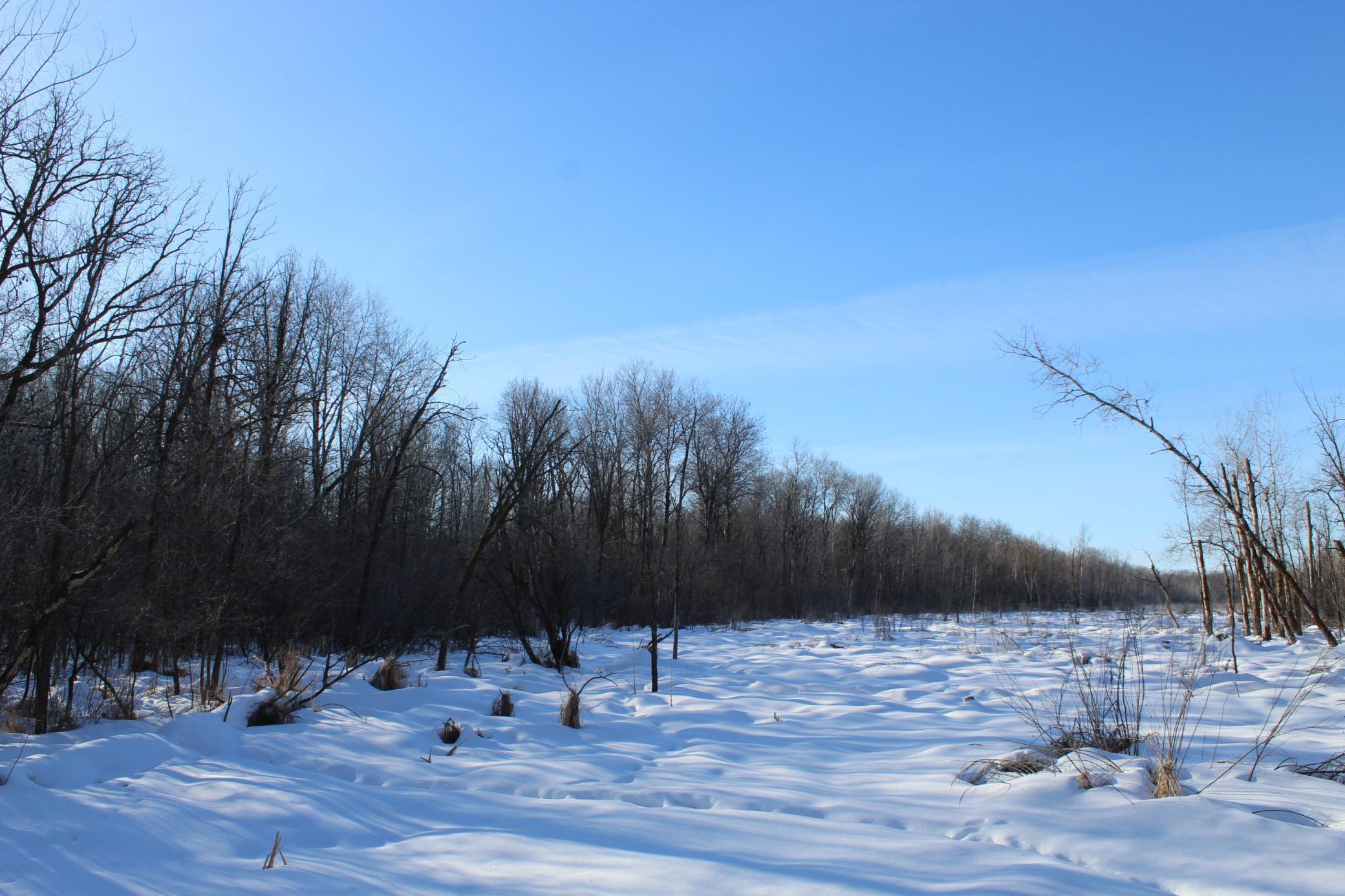 9-xxx 200th Street Milaca, MN 56353 - Photo 6 of 6