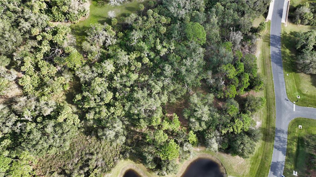 9255 Swaying Branch Road Sarasota, FL 34241 - Photo 12 of 23