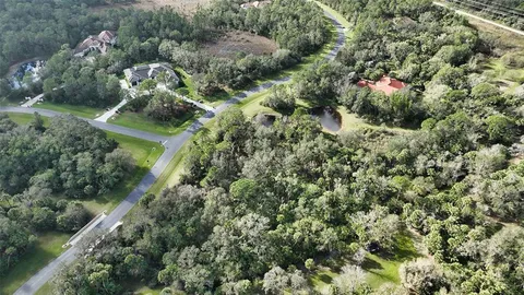 a view of a yard with plants