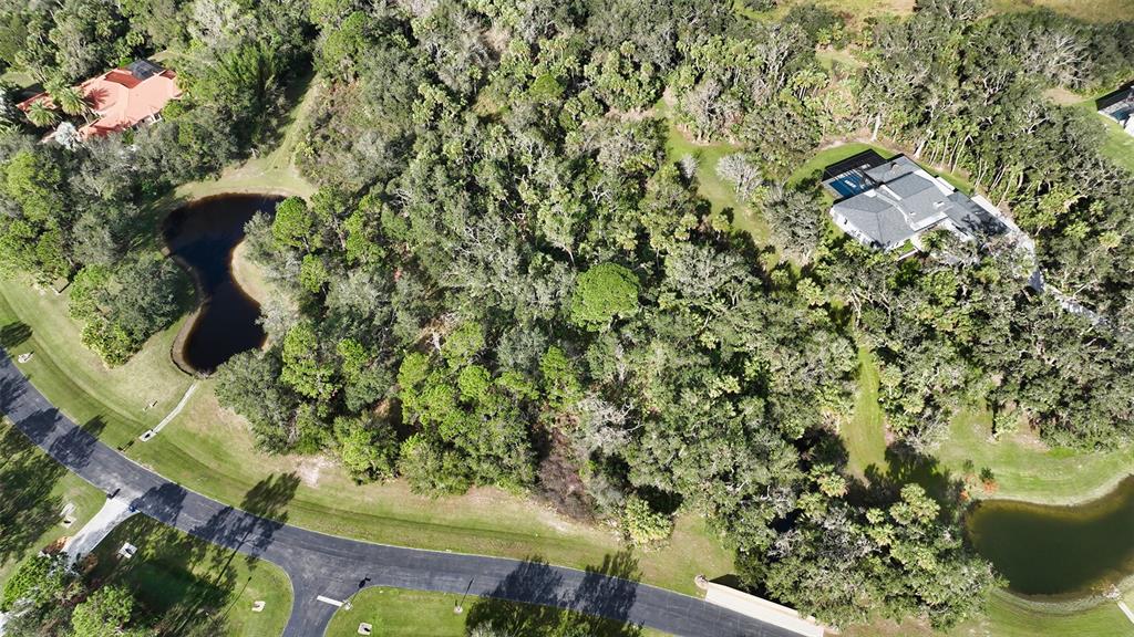 9255 Swaying Branch Road Sarasota, FL 34241 - Photo 22 of 23 a view of outdoor space and garden