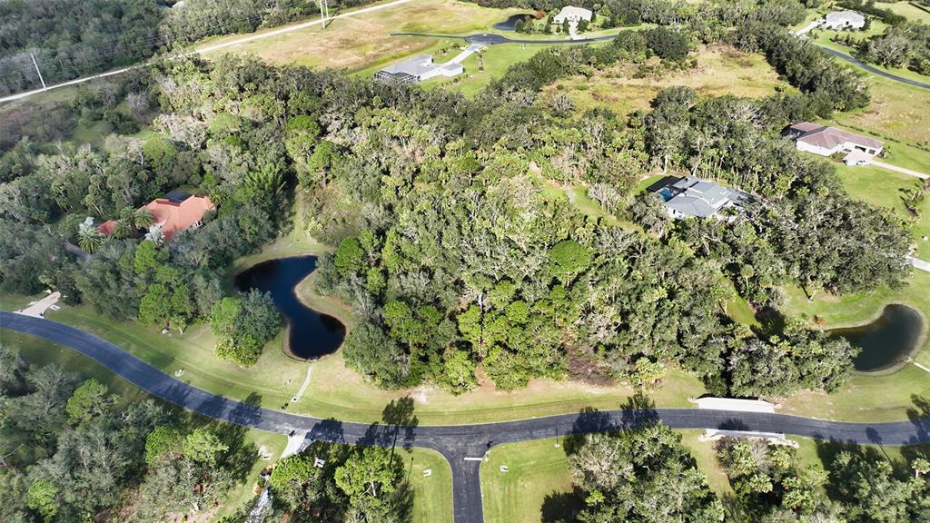 9255 Swaying Branch Road Sarasota, FL 34241 - Photo 3 of 23 a picture of flowers