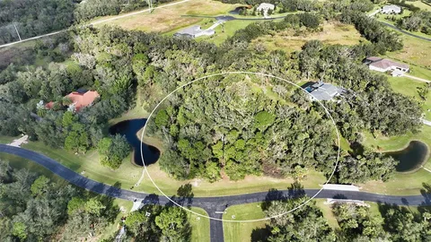 a picture of flowers