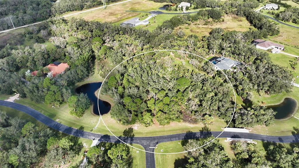 9255 Swaying Branch Road Sarasota, FL 34241 - Photo 4 of 23 a picture of flowers