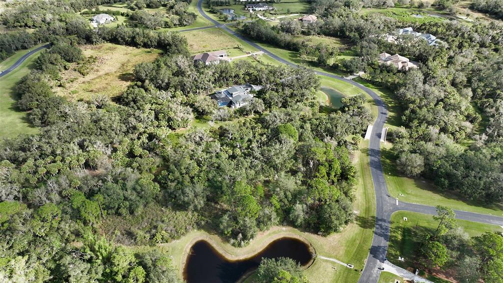 9255 Swaying Branch Road Sarasota, FL 34241 - Photo 8 of 23 an aerial view of residential house with outdoor space and trees all around