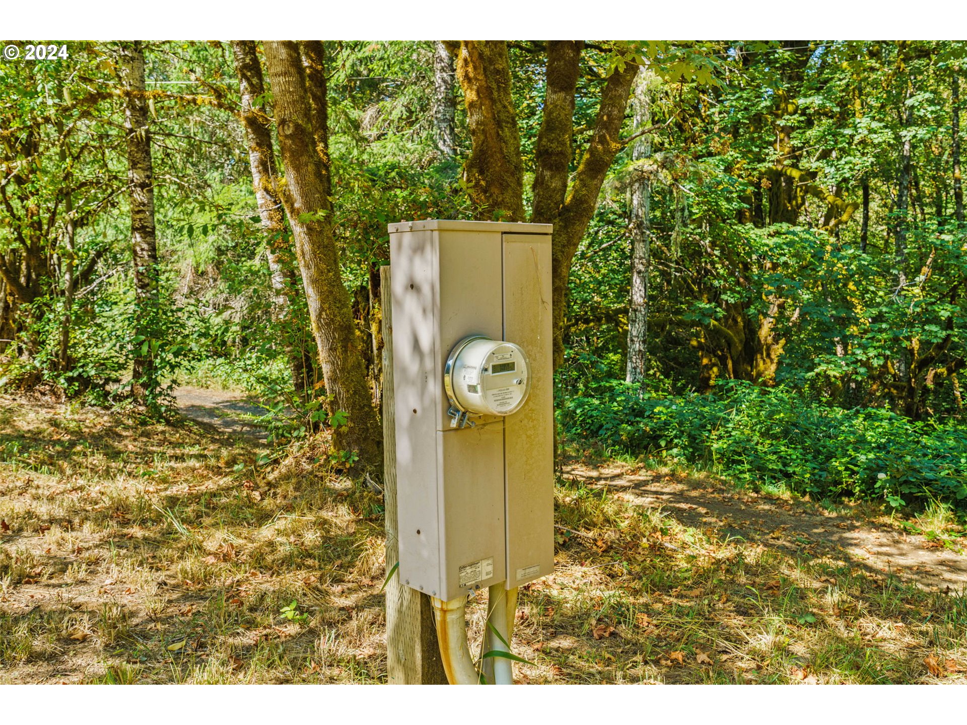 20930 Alsea Highway Alsea, OR 97324 - Photo 4 of 34