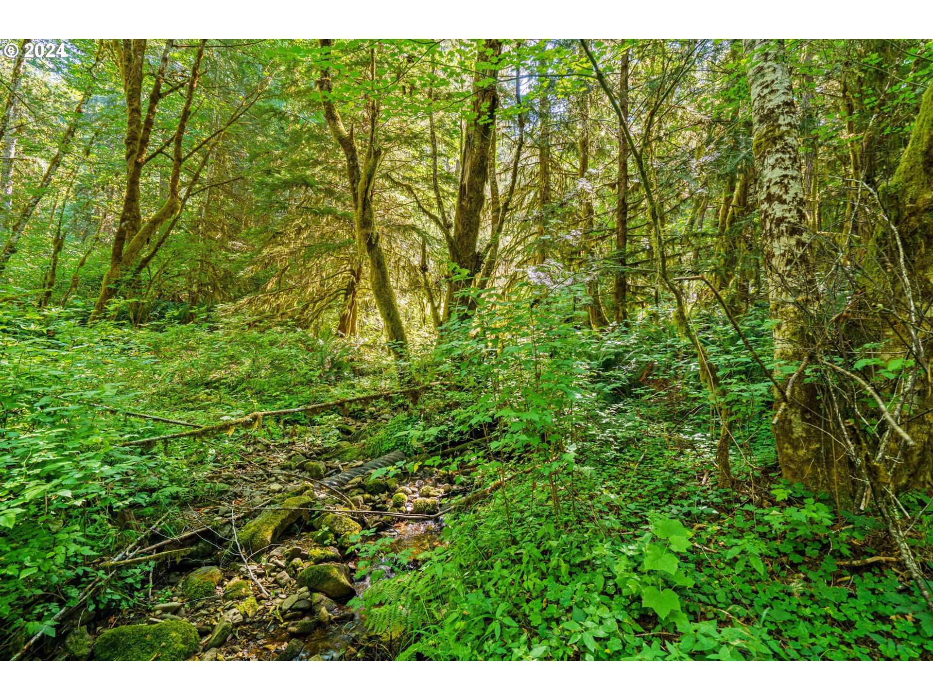 20930 Alsea Highway Alsea, OR 97324 - Photo 9 of 34