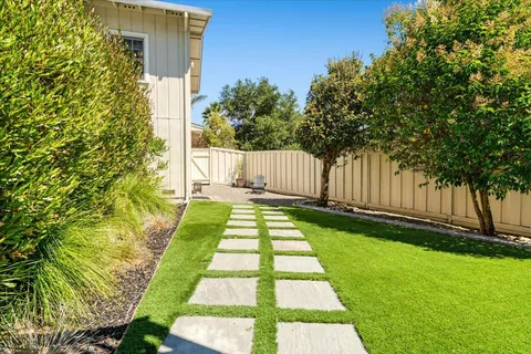 a view of yard with small plants