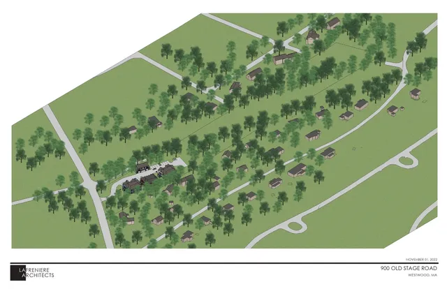 a black and white photo of a green field