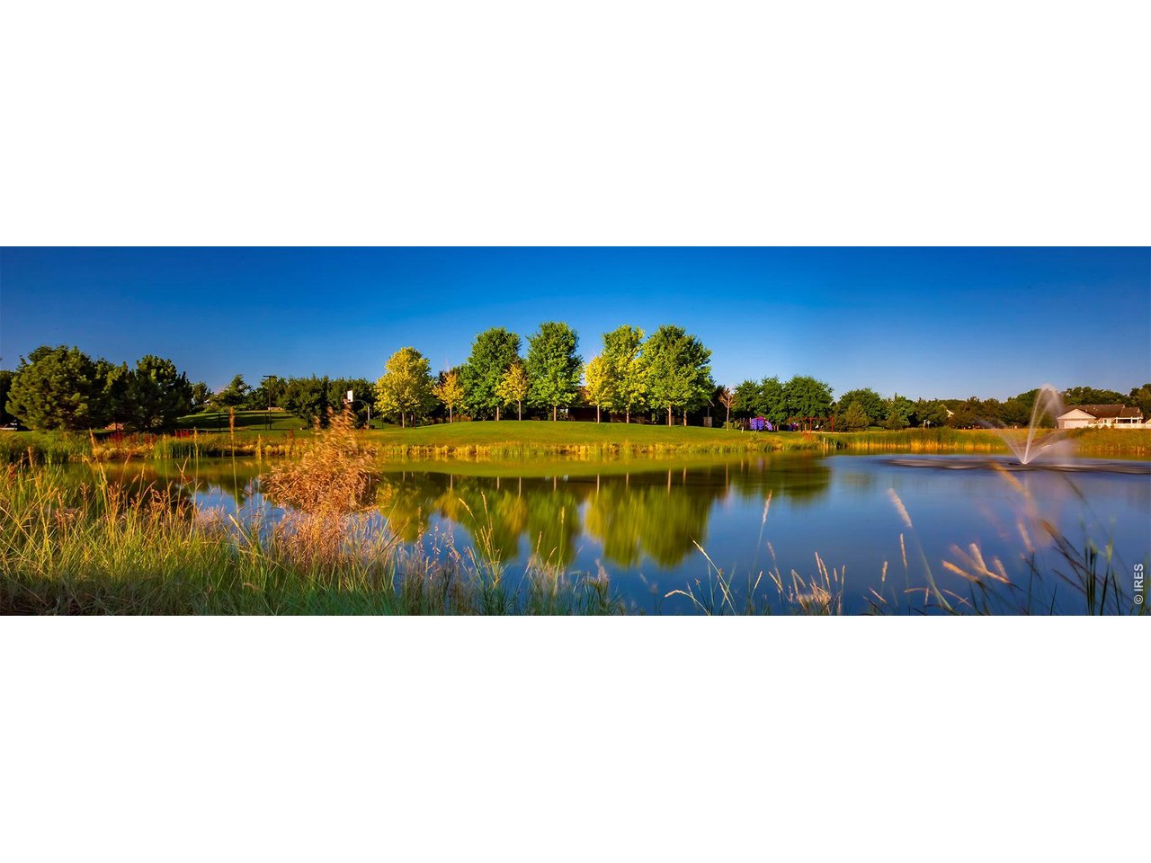 364 Rustic Barn Lane Berthoud, CO 80513 - Photo 28 of 40 Fickel Park