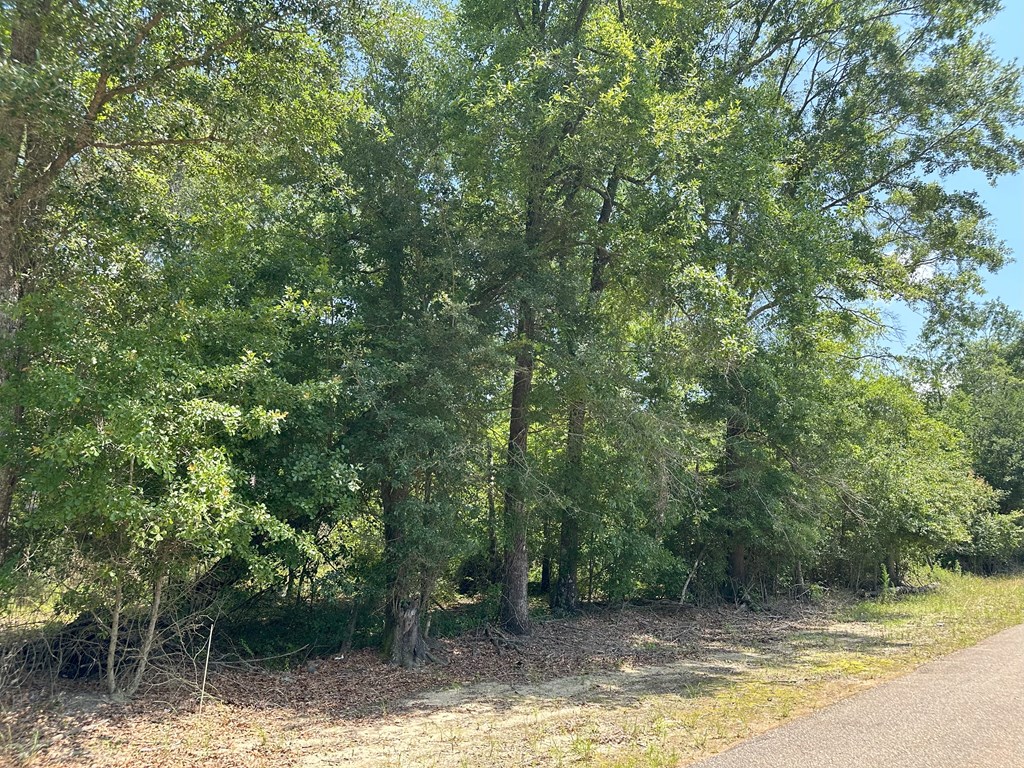 Lot 7 South Springhill Road Gordon, AL 36343 - Photo 4 of 14
