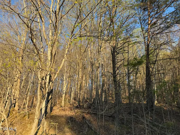 $30,000 | Tbd Possum Hollow Road, Unit 5, Johnson City, TN 37615