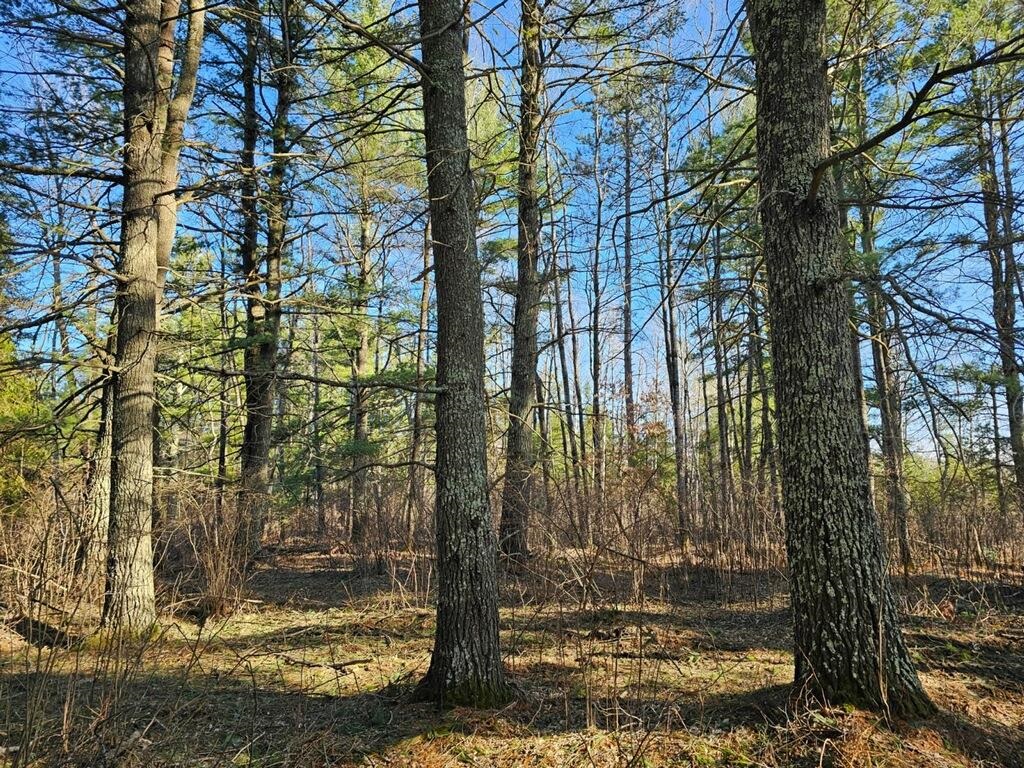 13-17 Burrows Lake Road Tomahawk, WI 54487 - Photo 1 of 1