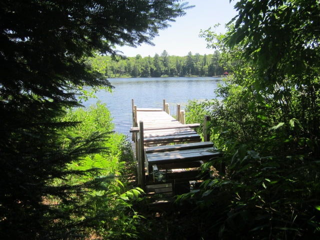 Tbd Tbd Ford Road Seney, MI 49883 - Photo 2 of 3 Gallery Image 2