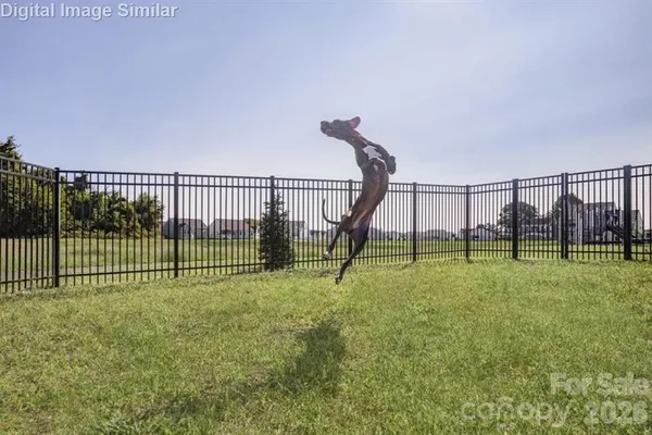 a view of a chairs and table in the garden