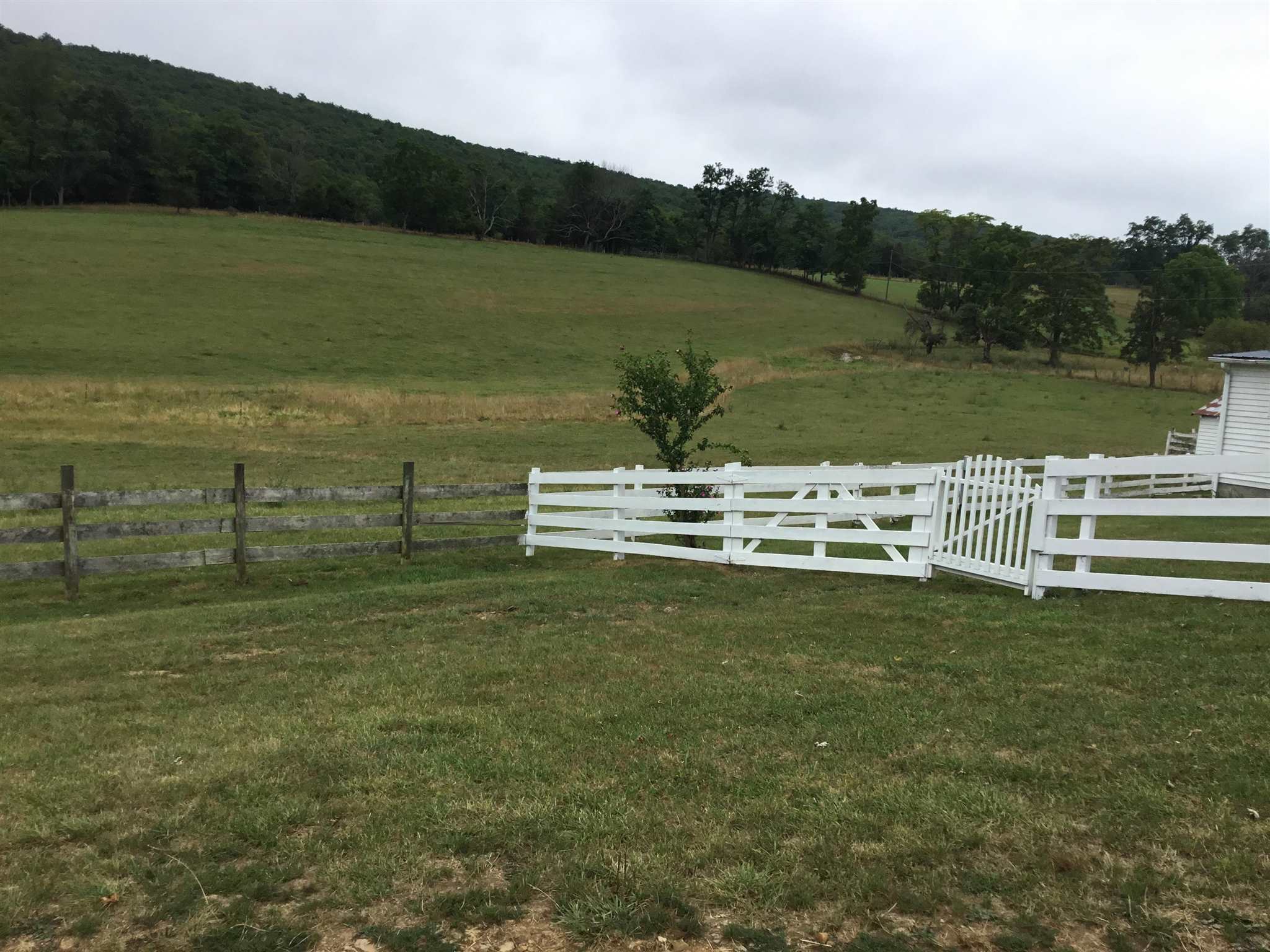 407 J J Mallow Road Upper Tract, WV 26866 - Photo 9 of 39 Gallery Image 9