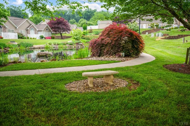 a garden covered with tall trees