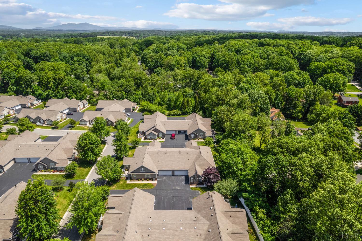 1159 Jefferson Way Forest, VA 24551 - Photo 41 of 43 an aerial view of a house with a garden