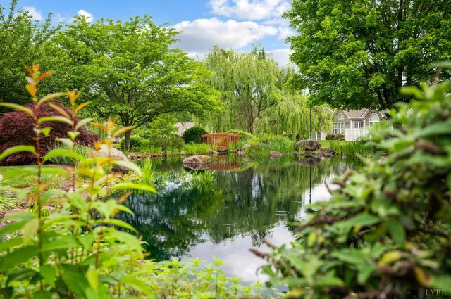 a backyard of a house with lots of green space