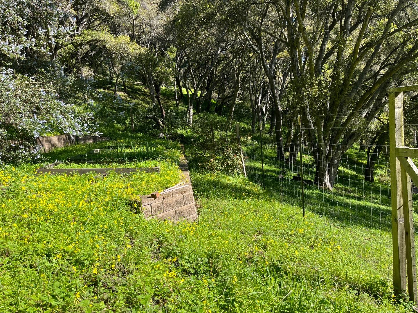 0 Baker Road Aptos, CA 95003 - Photo 16 of 29 a view of a garden with a tree