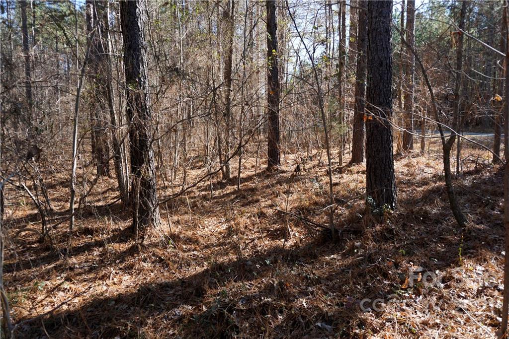 4.5-ac Lot 3 4.5-ac Road, Unit 3 Chester, SC 29706 - Photo 1 of 11 Gallery Image 1