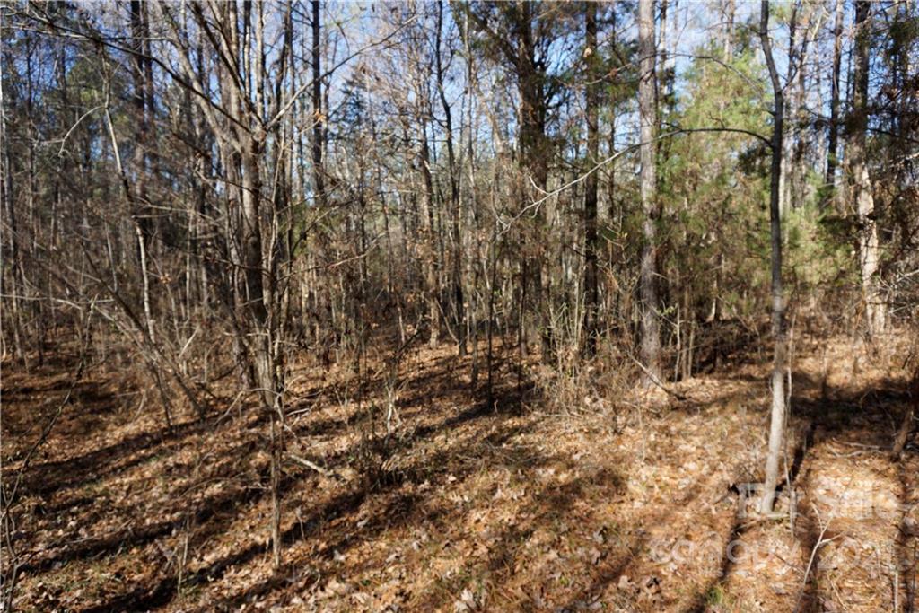4.5-ac Lot 3 4.5-ac Road, Unit 3 Chester, SC 29706 - Photo 11 of 11 Gallery Image 11