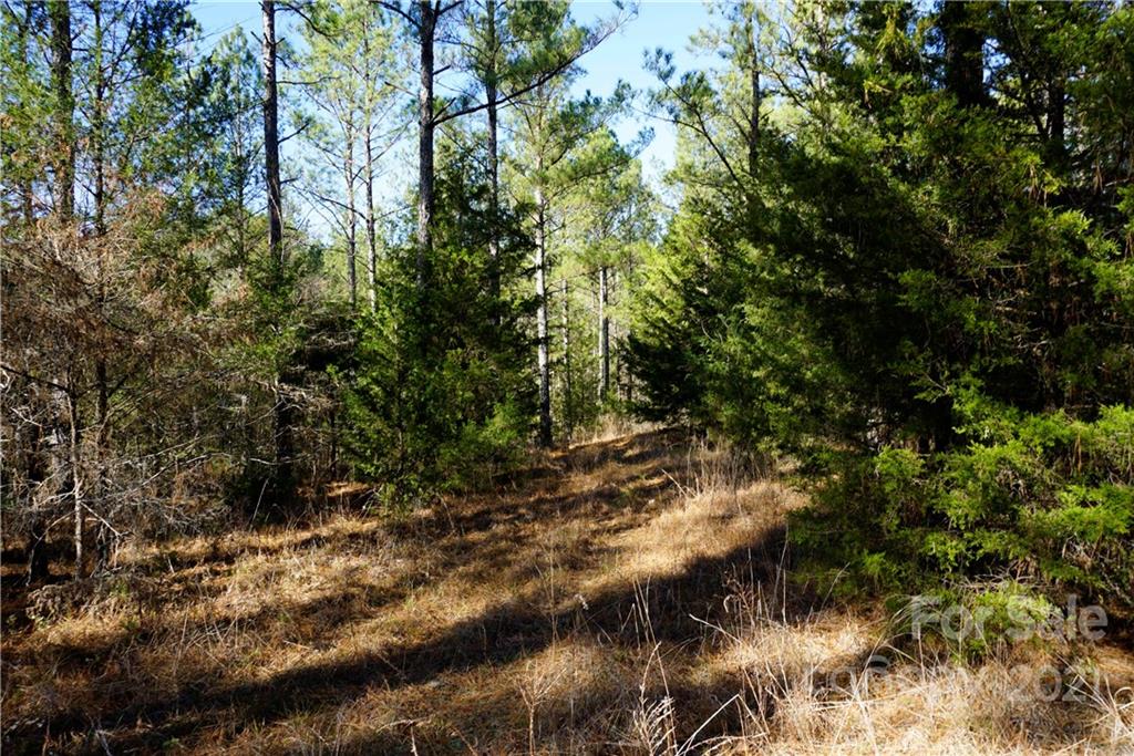 4.5-ac Lot 3 4.5-ac Road, Unit 3 Chester, SC 29706 - Photo 3 of 11 Gallery Image 3