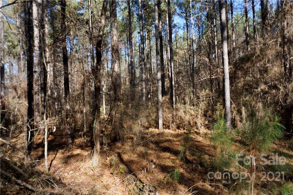 4.5-ac Lot 3 4.5-ac Road, Unit 3 Chester, SC 29706 - Photo 4 of 11 Gallery Image 4