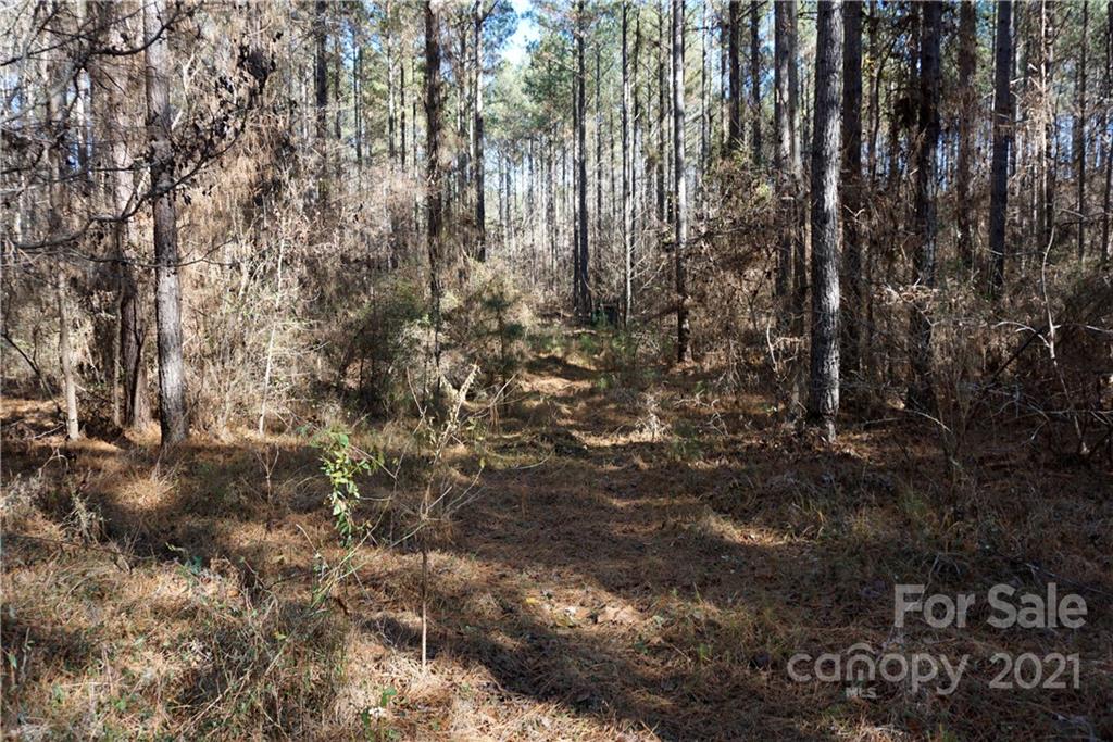 4.5-ac Lot 3 4.5-ac Road, Unit 3 Chester, SC 29706 - Photo 5 of 11 Gallery Image 5