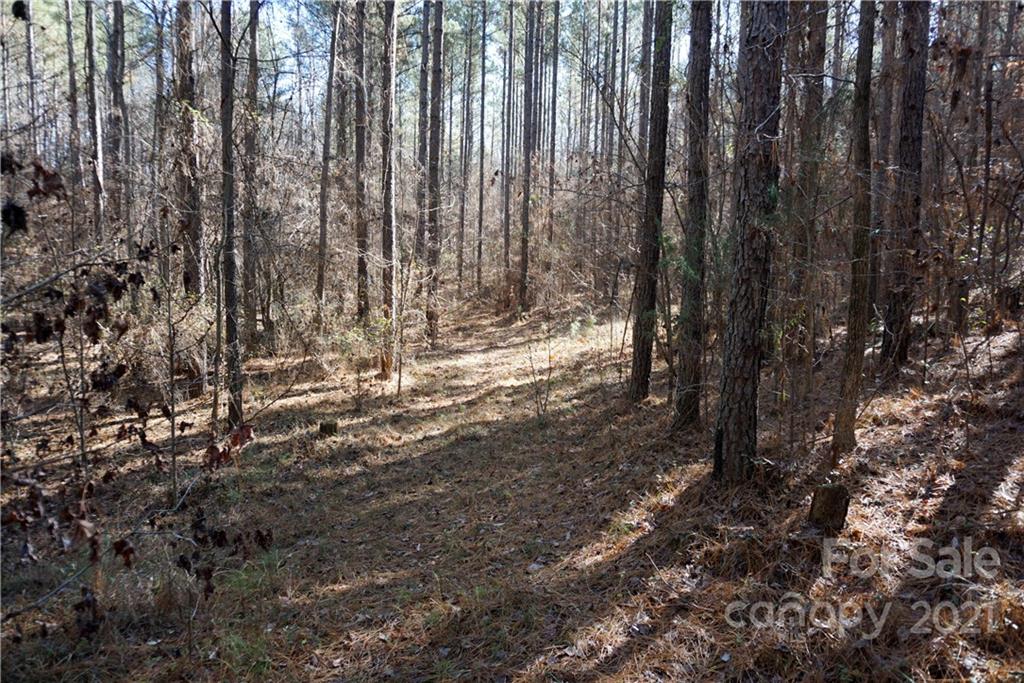 4.5-ac Lot 3 4.5-ac Road, Unit 3 Chester, SC 29706 - Photo 6 of 11 Gallery Image 6