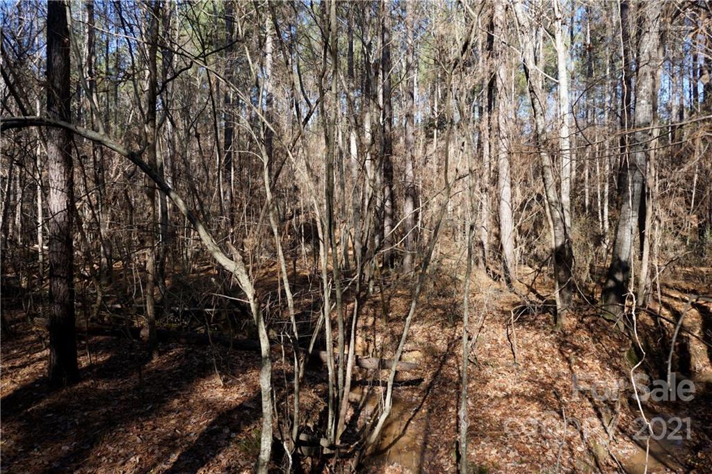4.5-ac Lot 3 4.5-ac Road, Unit 3 Chester, SC 29706 - Photo 7 of 11 Gallery Image 7