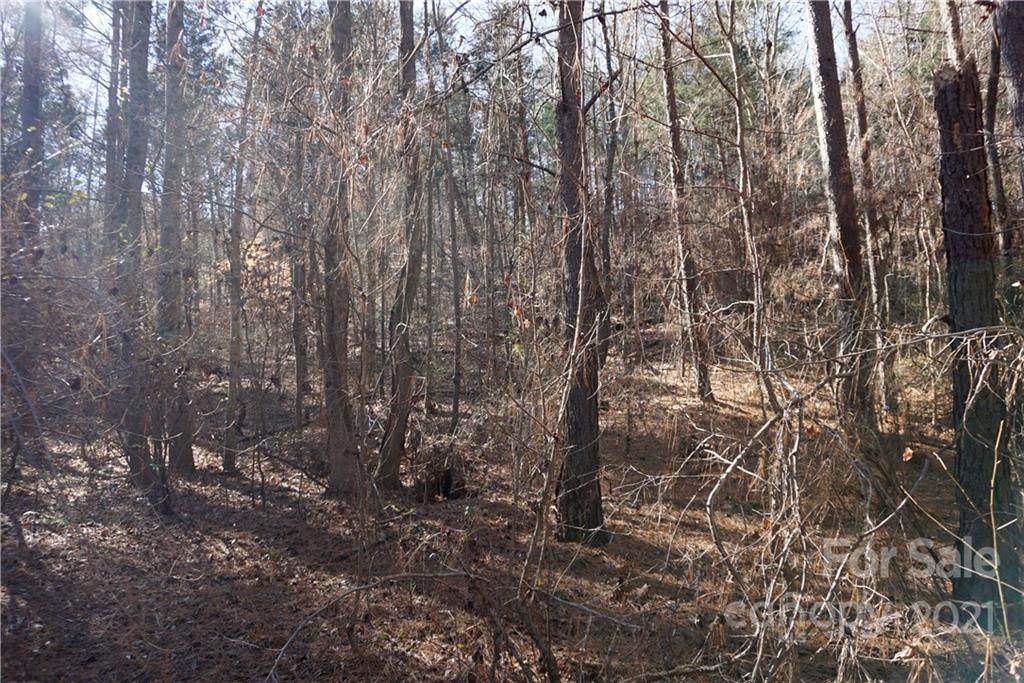 4.5-ac Lot 3 4.5-ac Road, Unit 3 Chester, SC 29706 - Photo 8 of 11 Gallery Image 8