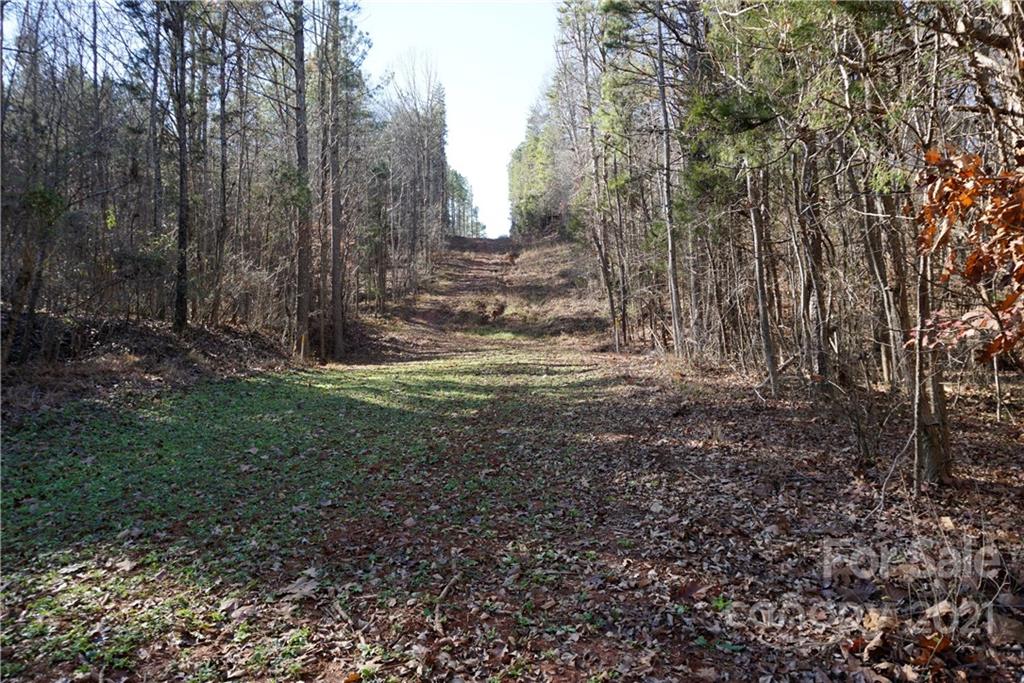 4.5-ac Lot 3 4.5-ac Road, Unit 3 Chester, SC 29706 - Photo 9 of 11 Gallery Image 9