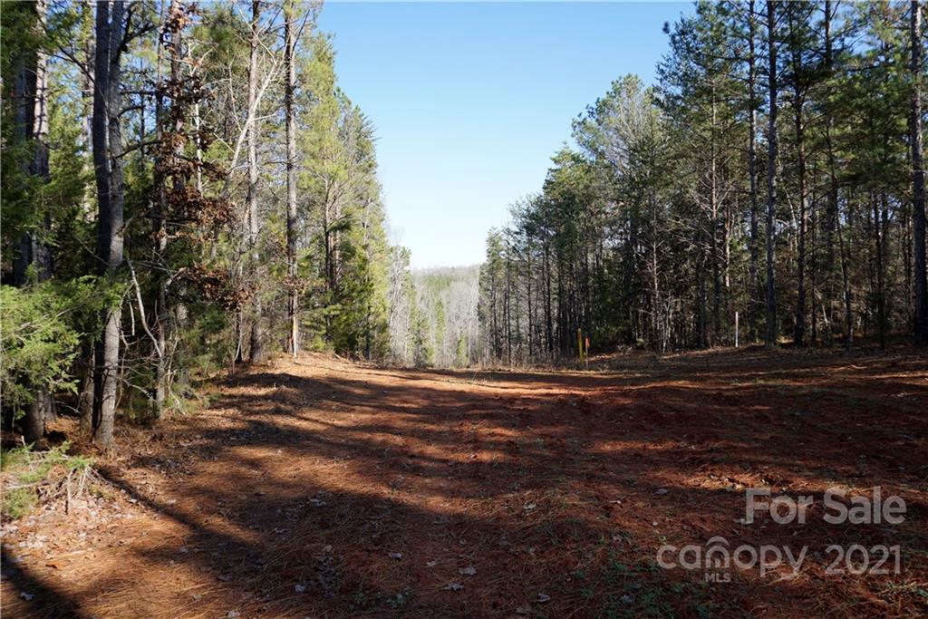 4.5-ac Lot 3 4.5-ac Road, Unit 3 Chester, SC 29706 - Photo 10 of 11 Gallery Image 10