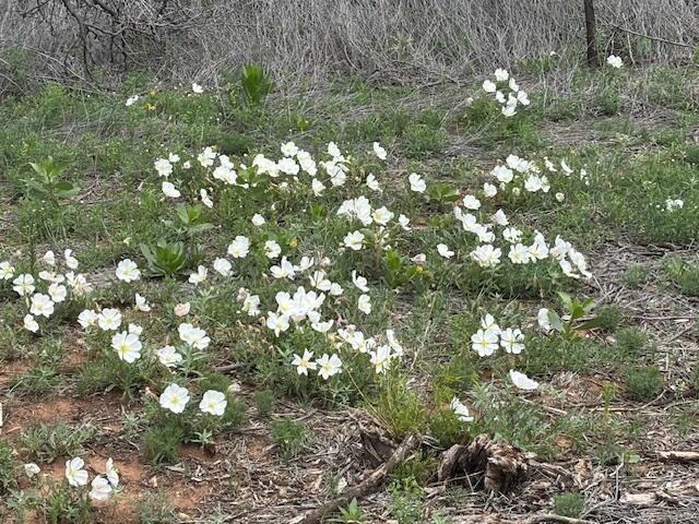 0 Riverview Circle Amarillo, TX 79124 - Photo 11 of 11 0pic 10