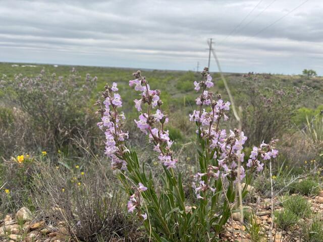 0 Riverview Circle Amarillo, TX 79124 - Photo 3 of 11 0 pic 3