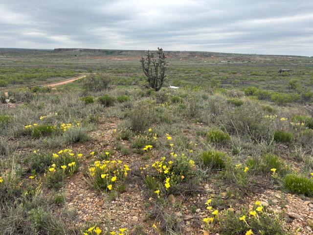 0 Riverview Circle Amarillo, TX 79124 - Photo 5 of 11 0 pic 4