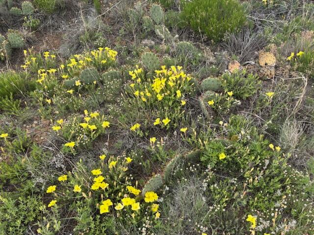 0 Riverview Circle Amarillo, TX 79124 - Photo 6 of 11 0 pic 6