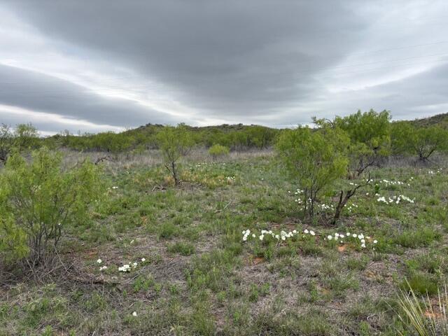0 Riverview Circle Amarillo, TX 79124 - Photo 10 of 11 0 pic 10