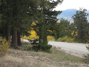 2139 Redhill Road Fairplay, CO 80440 - Photo 5 of 20 Gallery Image 5