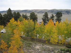 2139 Redhill Road Fairplay, CO 80440 - Photo 9 of 20 Gallery Image 9