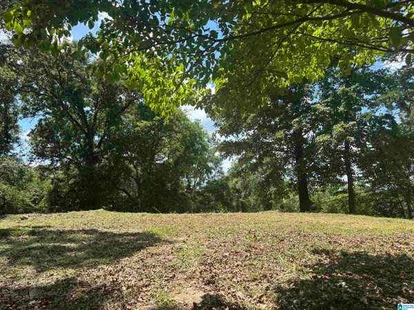 $30,000 | 224 Iris Drive, Gardendale, AL 35071