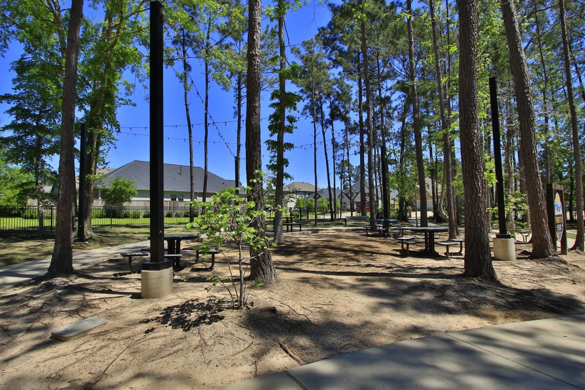 320 Rise Lane Montgomery, TX 77316 - Photo 41 of 43