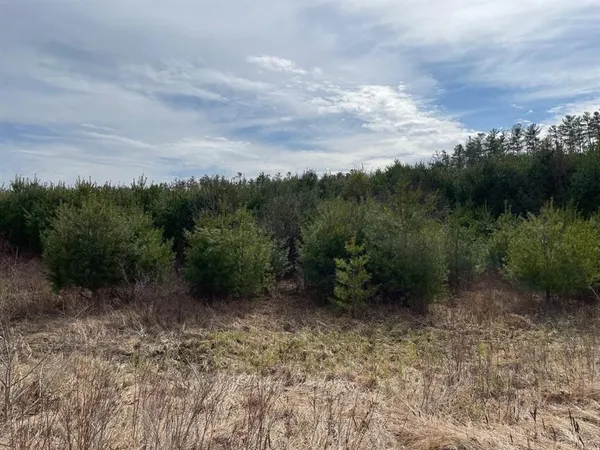 $275,000 | 213-023-3 Yeaton Road, Plymouth, NH 03264