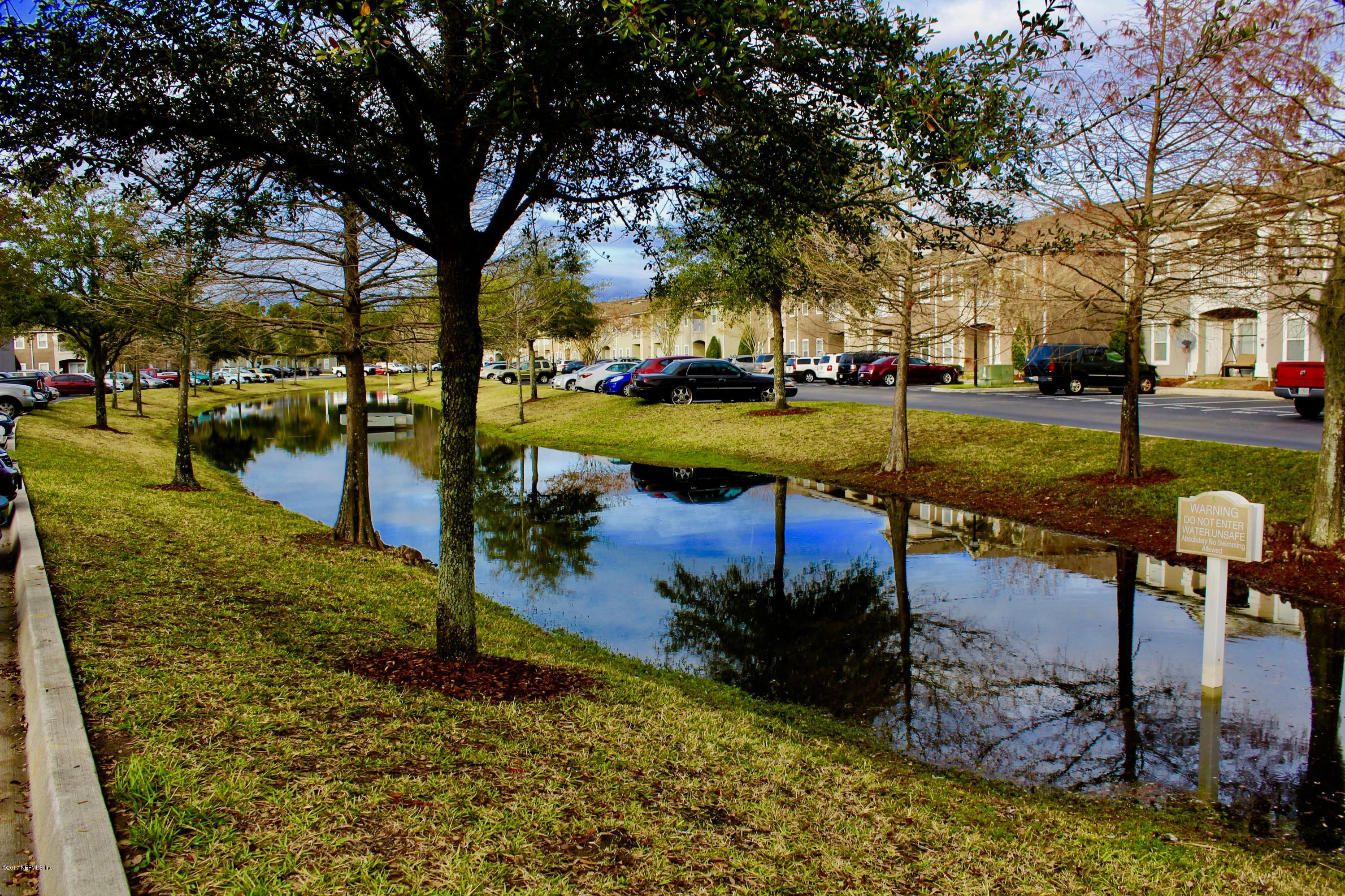 a view of a park with large trees