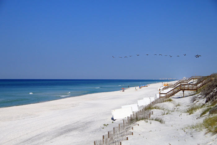 75 North Andalusia Avenue Santa Rosa Beach, FL 32459 - Photo 41 of 41 Picture Perfect Day