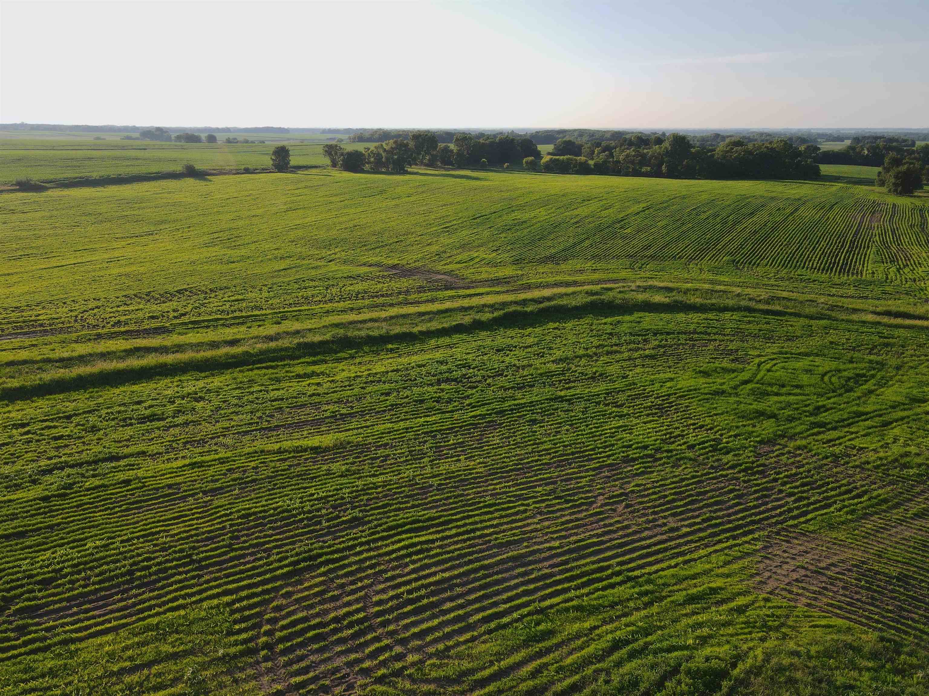 0 Todd Road Amboy, IL 61310 - Photo 7 of 58